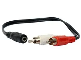 2 X RCA (MALE) TO STEREO (FEMALE)10CM