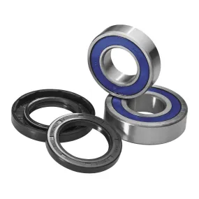 All Balls Racing Wheel Bearing Kit (25-1653)