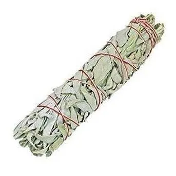 Californian White Sage Smudge Stick - 10cm & 15cm