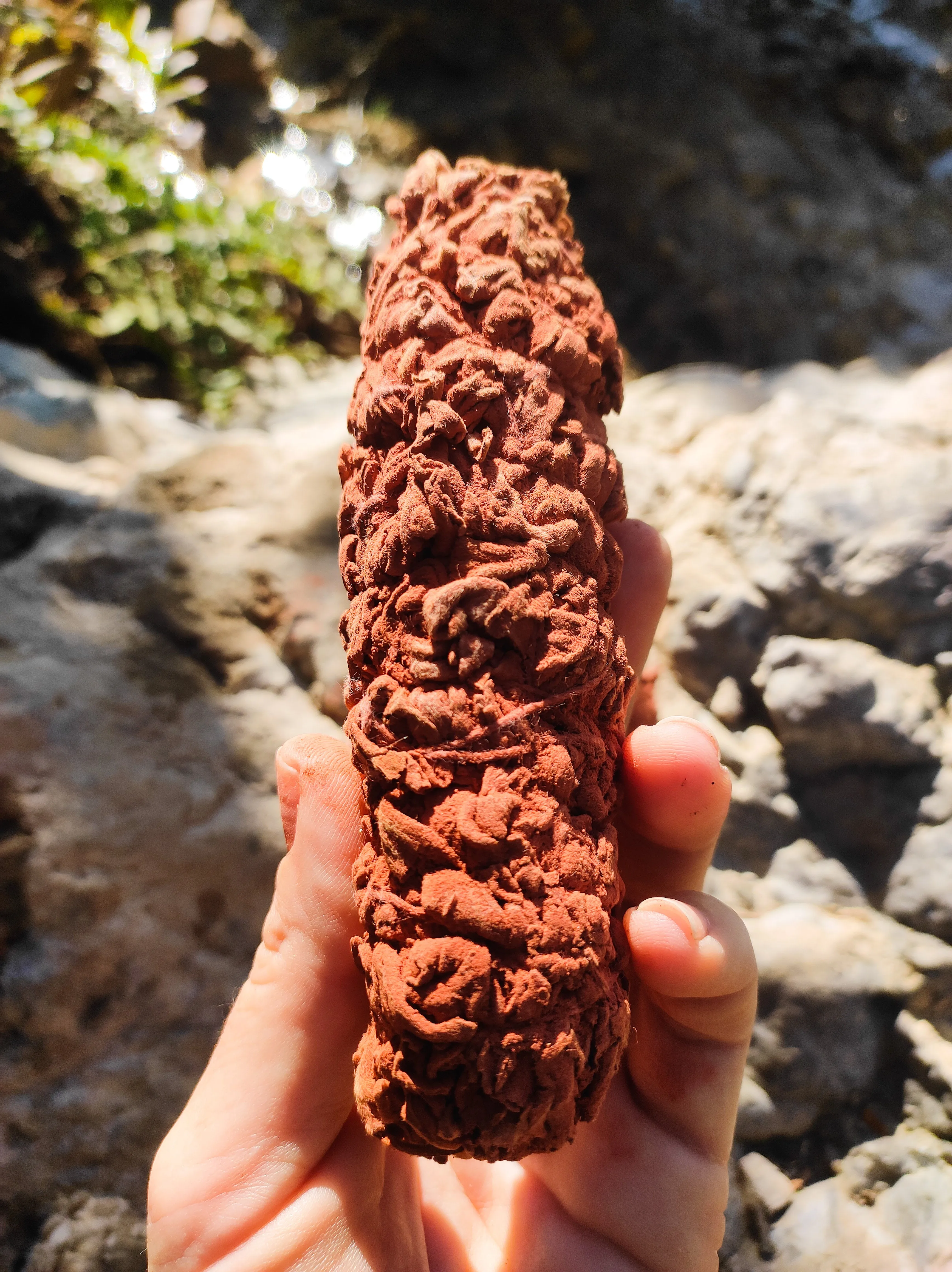 Dragon's Blood Sage Smudge Sticks