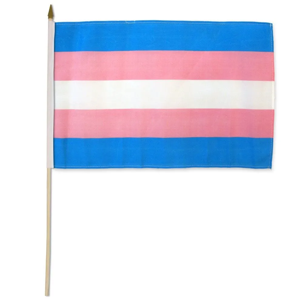 Flags Importer 12" x 18" Transgender Stick Pride Flag