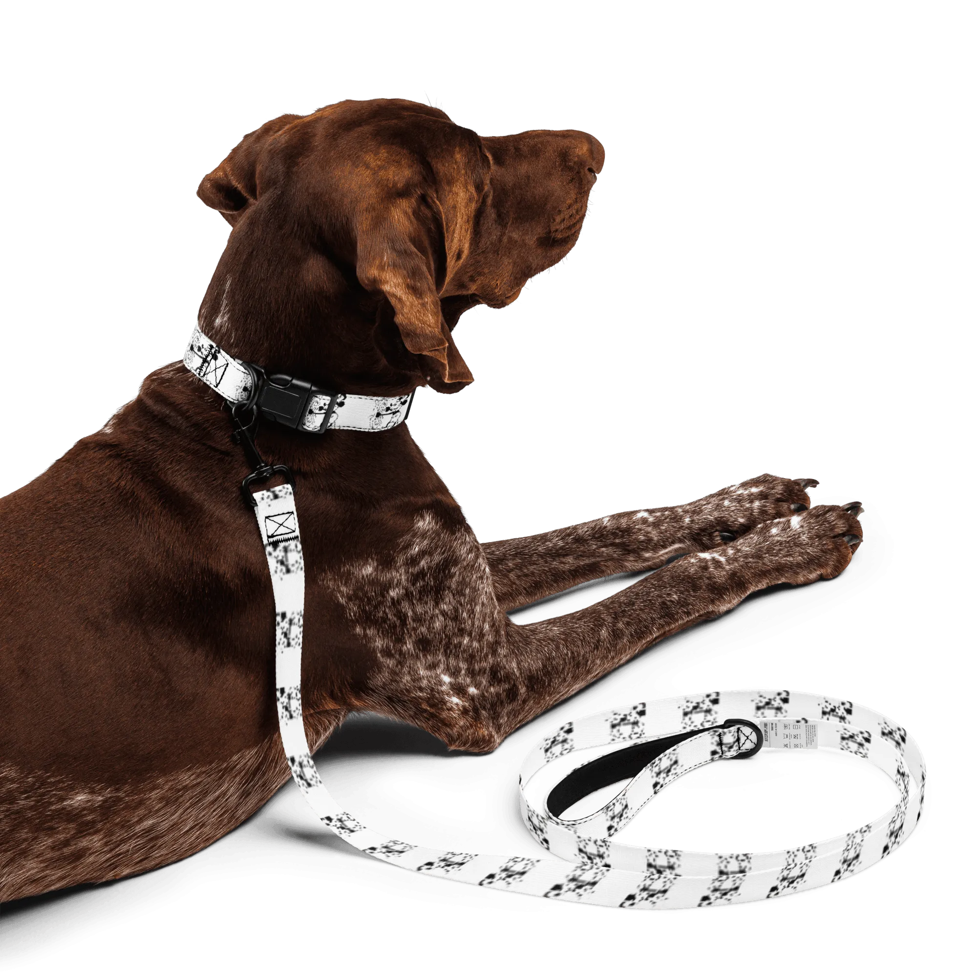 Steamboat Willie - Pet Collar & Leash